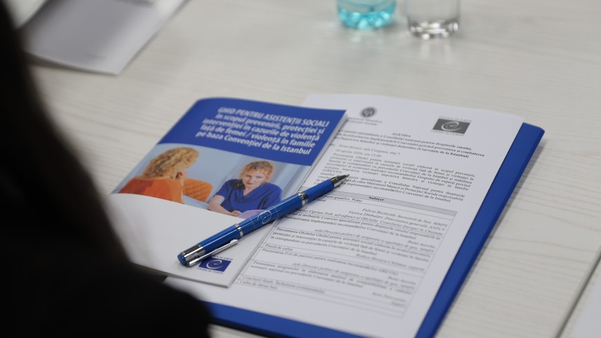 Lancement des lignes directrices du Conseil de l'Europe pour les travailleurs sociaux