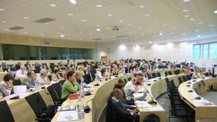 The Conference of INGOs adoped a declaration on the European Social Charter