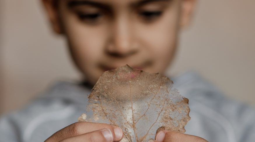 Combating child poverty and promoting social inclusion of all children
