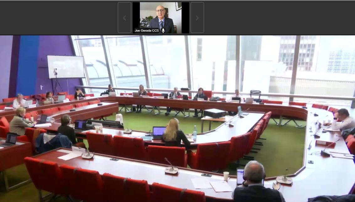 Exchange of views of the ECSR with the European Committee for Social Cohesion (CCS)