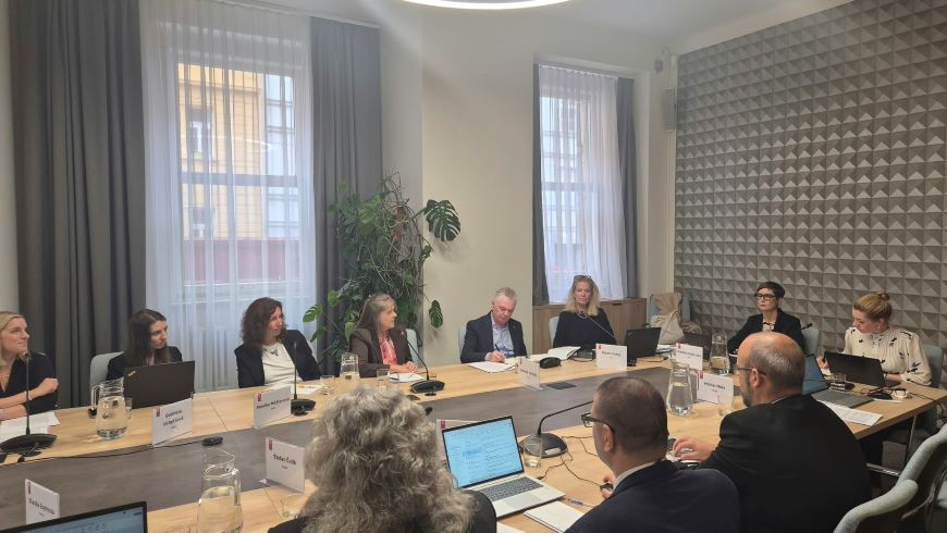 Enhanced Dialogue on the Ratification of the Revised European Social Charter in Czechia