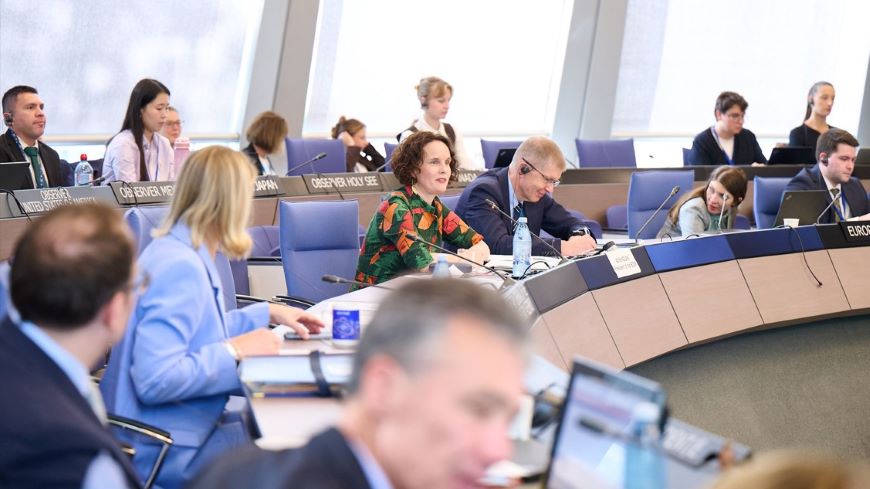Exchange of views between the President of ECSR and the Committee of Ministers to the Council of Europe