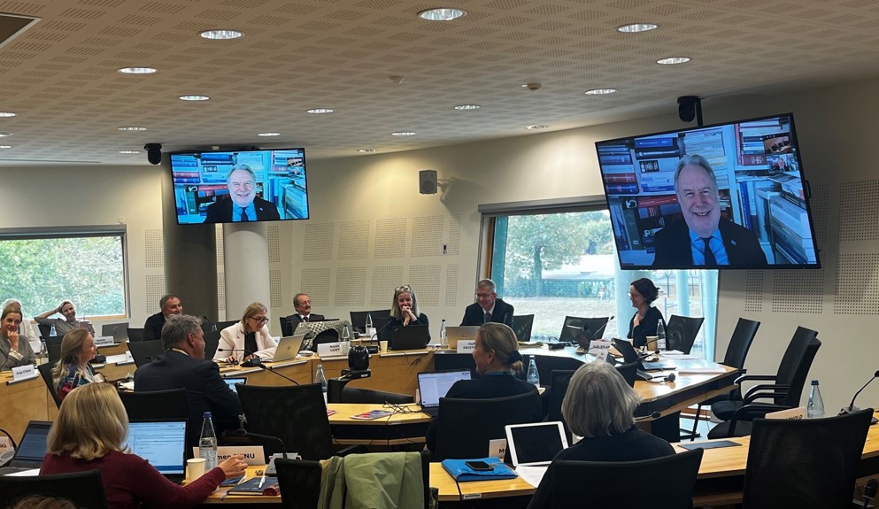 The ECSR holds an exchange of views with George Katrougalos, UN Independent Expert on the Promotion of a Democratic and Equitable International Order