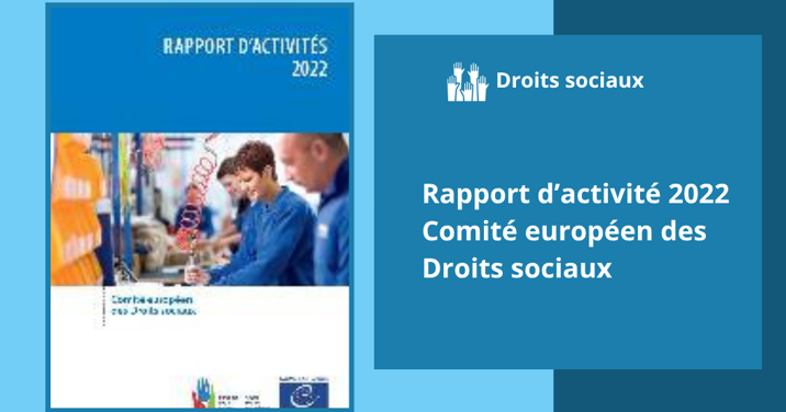 Activity report 2022