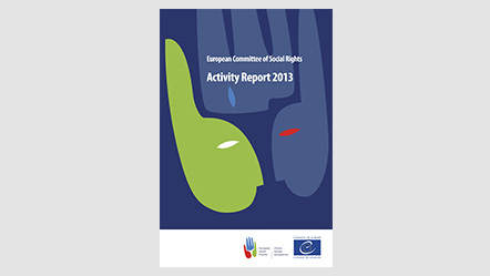 Rapport d'activité 2013