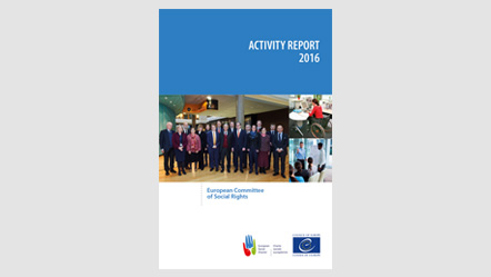 Activity report 2016