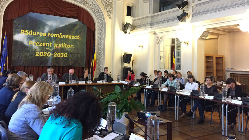 Meeting on non-accepted provisions of the European Social Charter by Romania