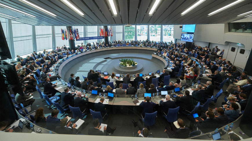 European Social Cohesion Platform (PECS) - Interim report by the Secretary General