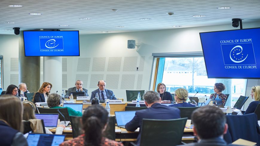 Exchange of views between the European Committee of Social Rights and the European Court of human Rights