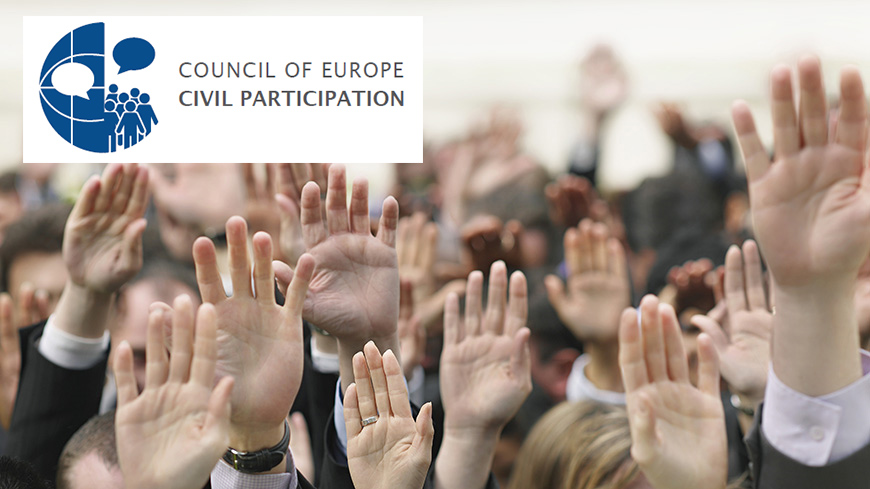 Survey on the participation of NGOs in the Council of Europe