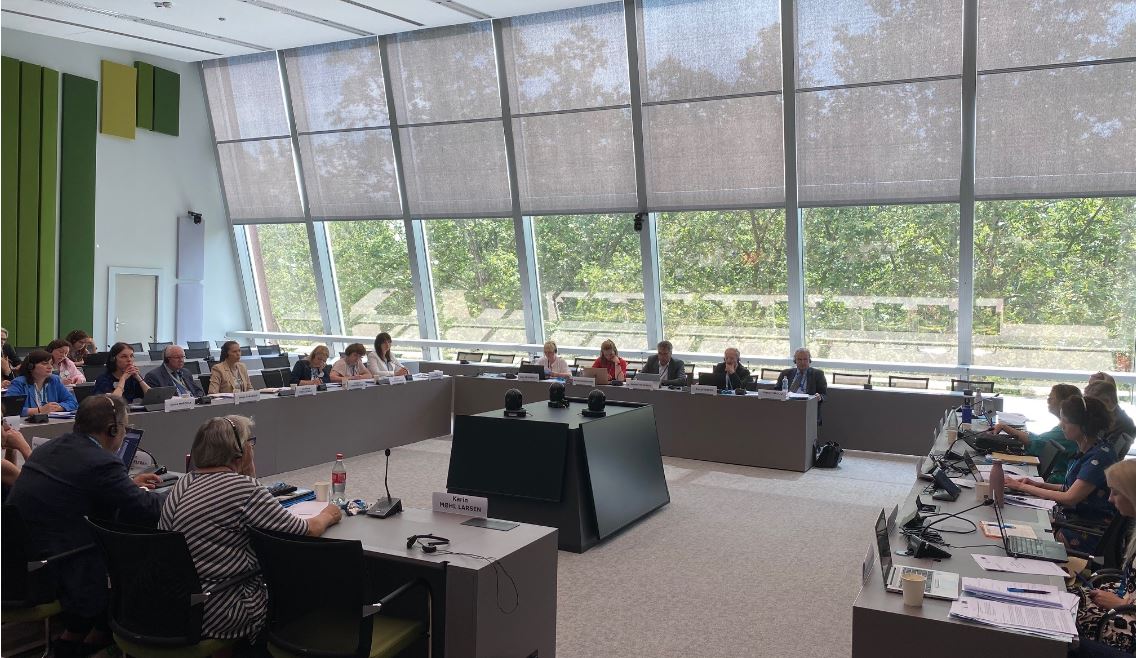 Ukrainian officials meet the ECSR and representatives of the Department of Social Rights in Strasbourg