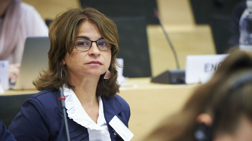 The Vice-Chair of the European Social Cohesion Platform presented the results of the first meeting of the Platform to the Ministers Deputies