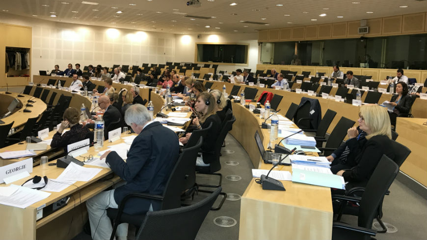 Second meeting of the European Social Cohesion Platform