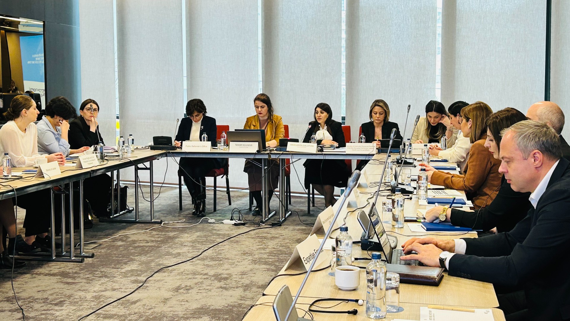 First Steering Committee meeting of the Project “Further Enhancement of Social and Economic Rights in Georgia”