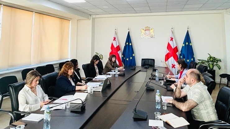 Continued cooperation on further enhancement of social rights protection in Georgia