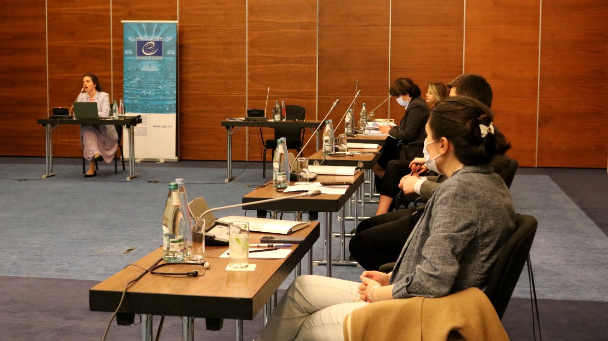2nd Steering Committee meeting of the Council of Europe Project “Strengthening Protection of Social and Economic Rights in Georgia