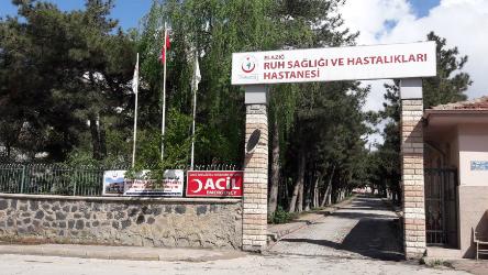 Council of Europe anti-torture Committee visits psychiatric hospitals and social welfare institutions in Turkey