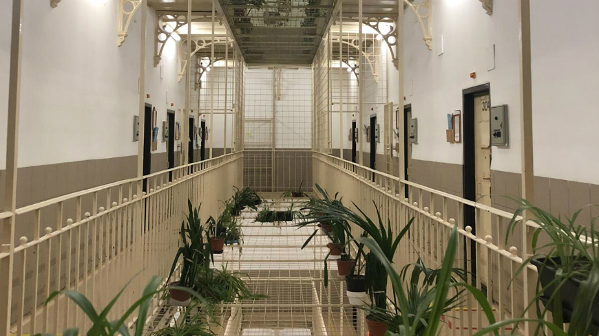 Council of Europe anti-torture Committee publishes report on Hungary