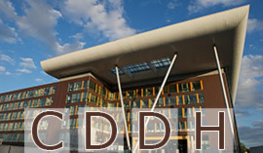Steering Committee for Human Rights (CDDH), EXTRAORDINARY MEETING