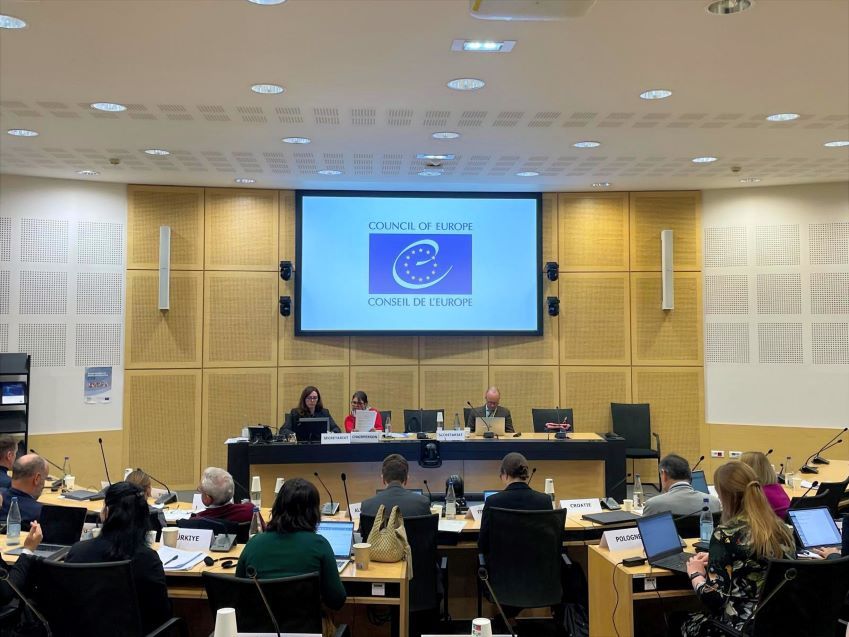 Safe Third Country concept: Second Meeting of the CDDH-PTS