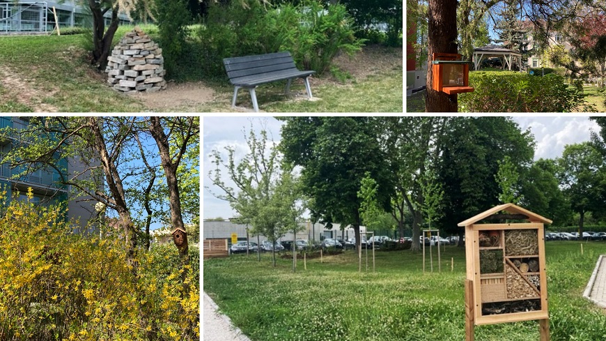 The European Youth Centres are ramping up their initiatives to promote fauna and flora