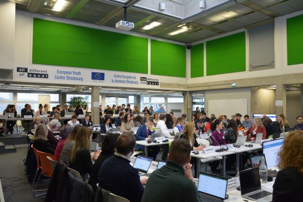 4th Summit and new four-year programme – the Joint Council decides on priorities for the youth sector 