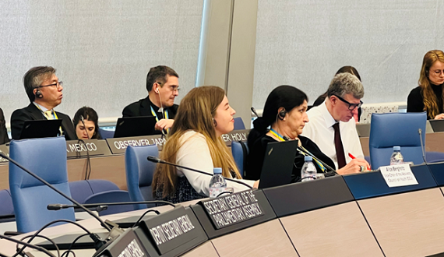 The Advisory Council on Youth addresses the Committee of Ministers’ 4th summit working group