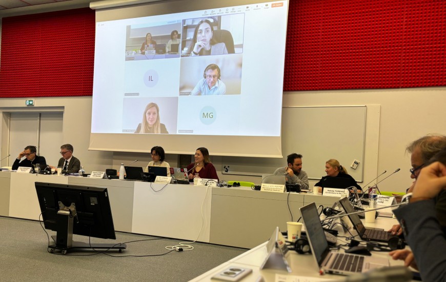 Joint Meeting of European Steering Committee for Youth and the Advisory Council on Youth Bureaux