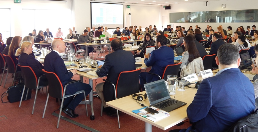 Taking the Youth for Democracy  Programme forward - CMJ decisions on the next steps in the youth sector’s programme