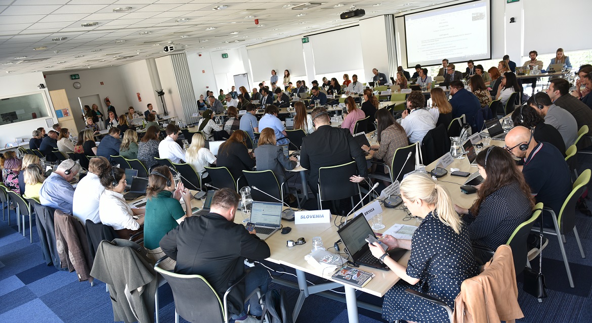 Joint Council on Youth agrees on recommendation on young people and climate action