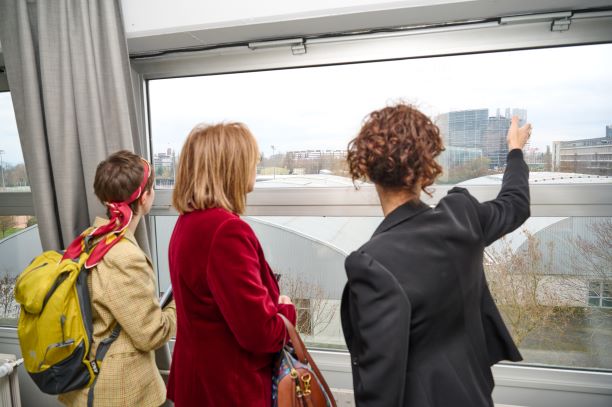 Taking the commitment further: integrating the Youth Perspective in Council of Europe work