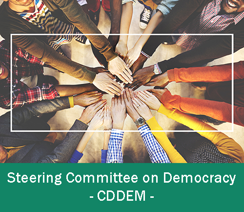 The Steering Committee on Democracy continues to integrate youth perspectives