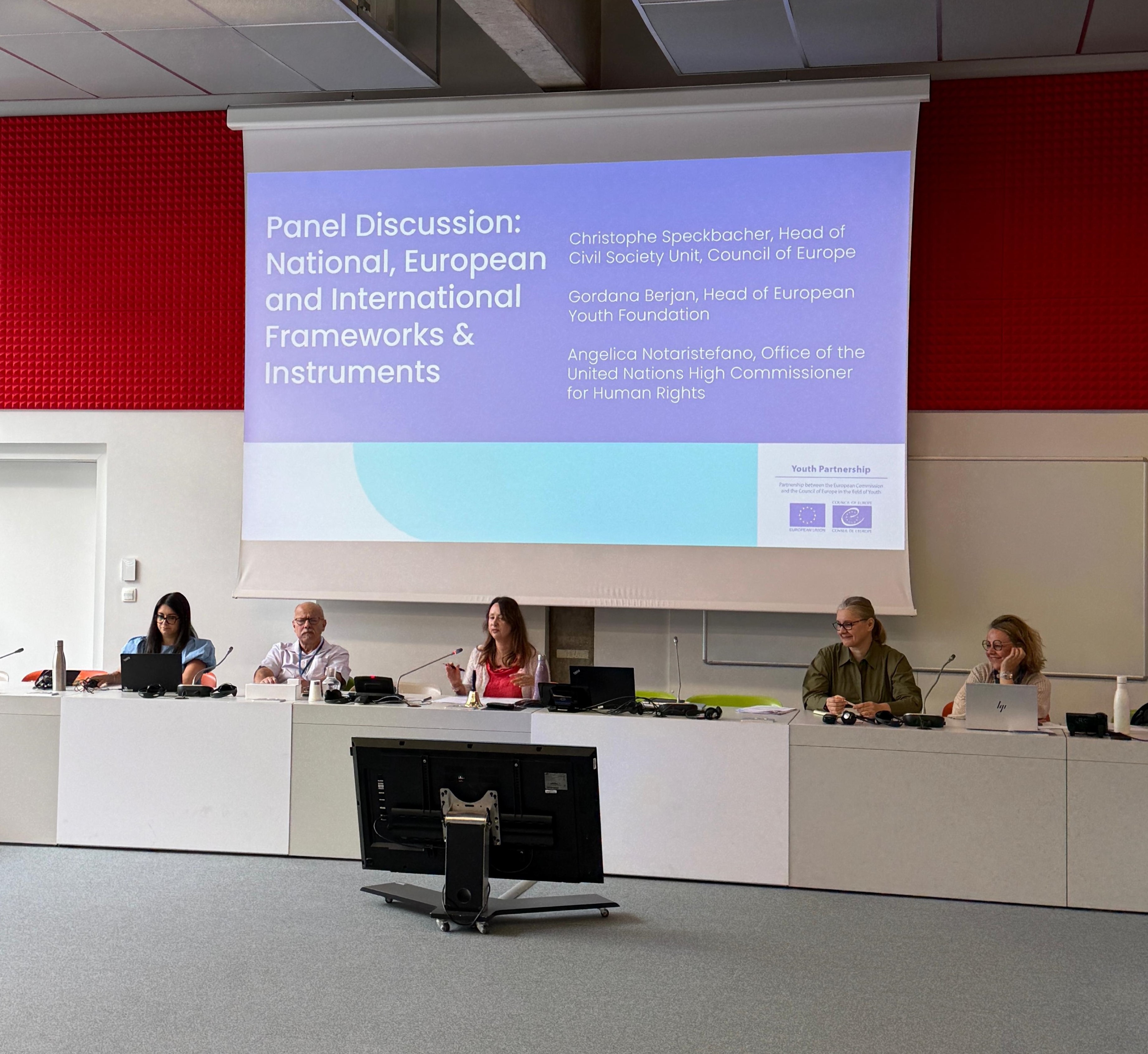Consultative meeting on young human rights defenders