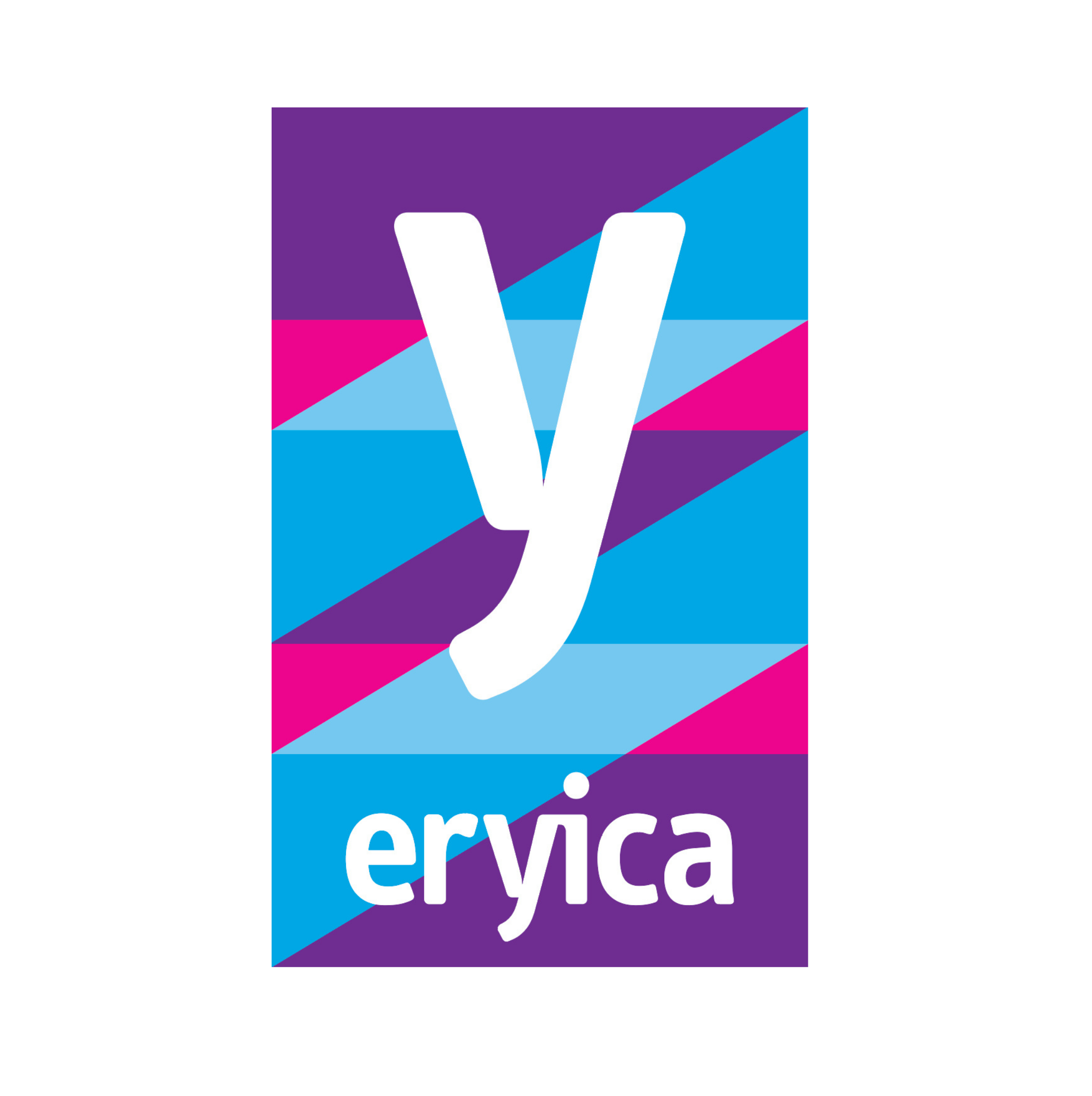  News from partners: European Youth Information and Counselling Agency
