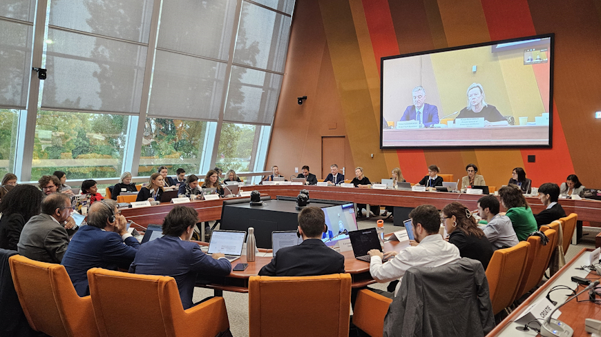 The Joint Council on Youth (CMJ) advances work on democracy, rights and participation