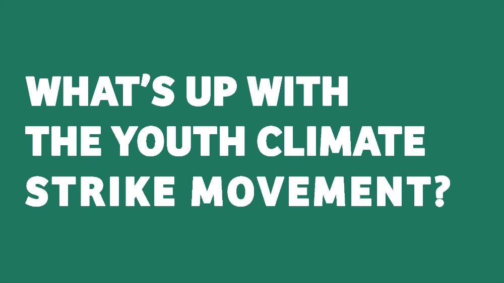 Youth climate movement – explained