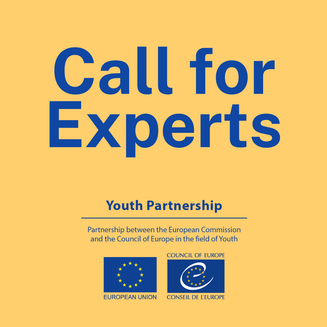 Call for experts: Youth Partnership