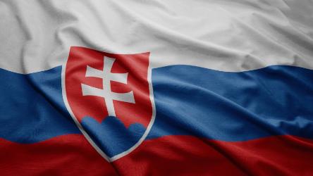 Council of Europe Congress assesses the application of the European Charter of Local Self-Government in the Slovak Republic