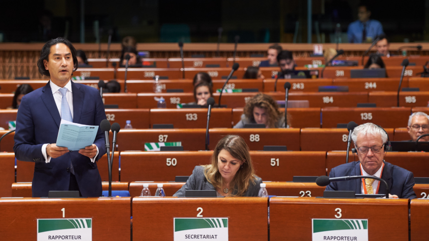 The Venice Principles: a key text for protecting and promoting the Ombudsman institution