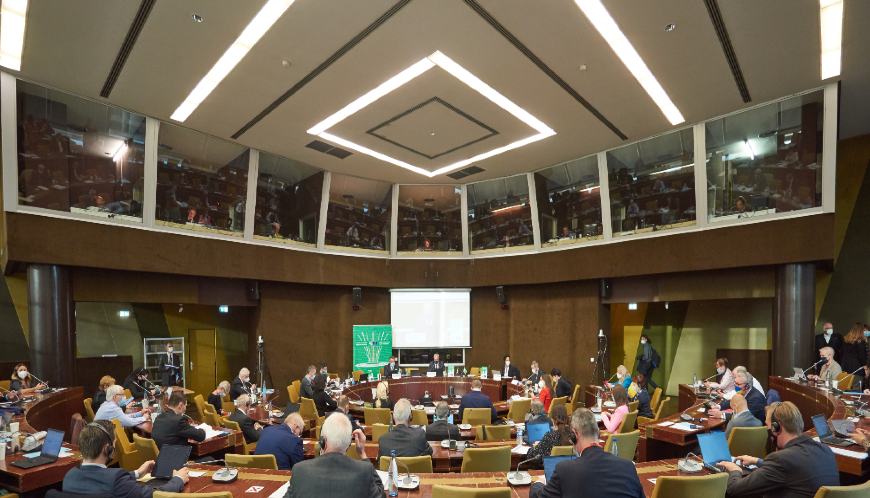 Lifelong education to ensure lifelong employment for young generations, a priority for regions emerging from the health crisis