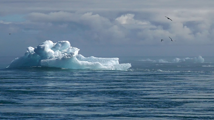 Journée mondiale de l'environnement : “Les autorités locales et régionales sont responsables devant leurs citoyens pour lutter contre le changement climatique”