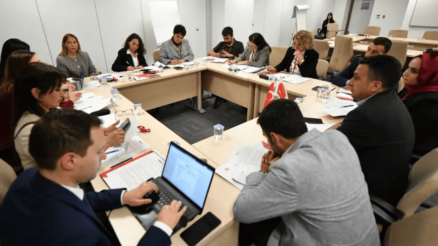 Towards a New Democratic Pact for Europe: Workshop in Türkiye
