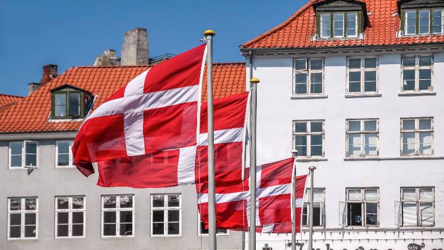 Council of Europe Congress assesses the implementation of the European Charter of Local Self-Government in Denmark
