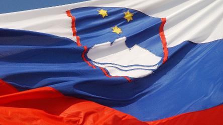 Council of Europe Congress observed local elections in Slovenia