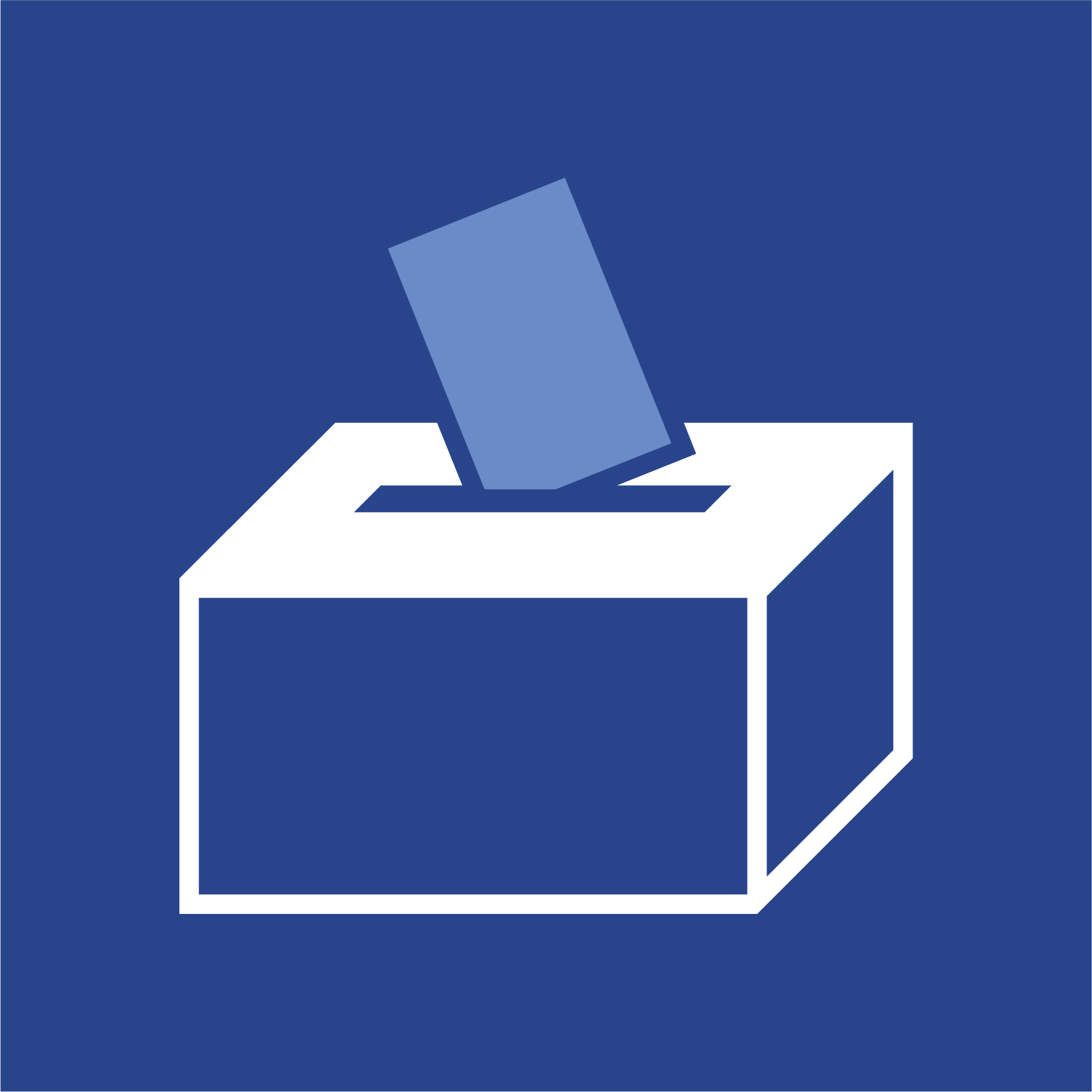 Principle 1: Democratic Participation