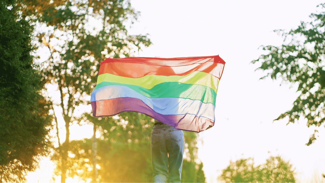 International Day against Homophobia, Biphobia and Transphobia