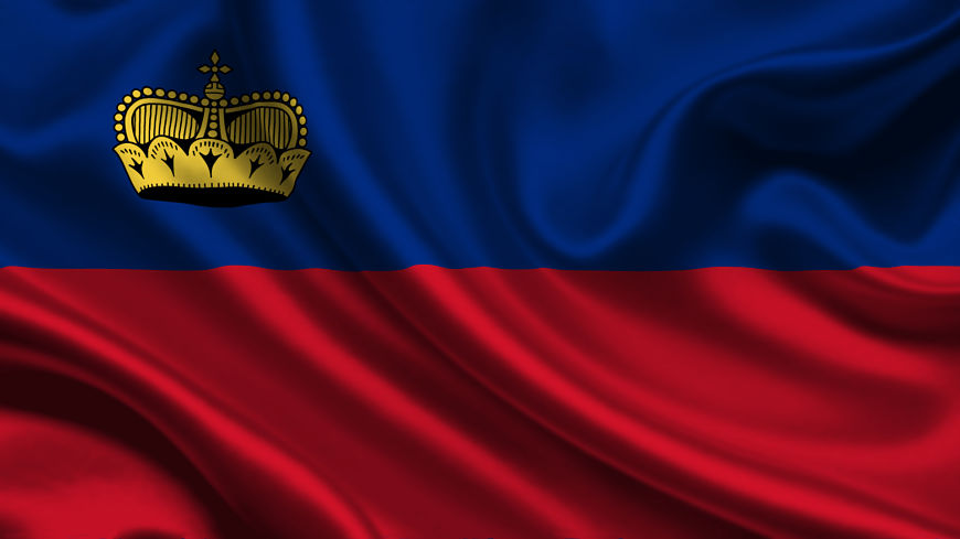 Monitoring visit by the Congress to the Principality of Liechtenstein