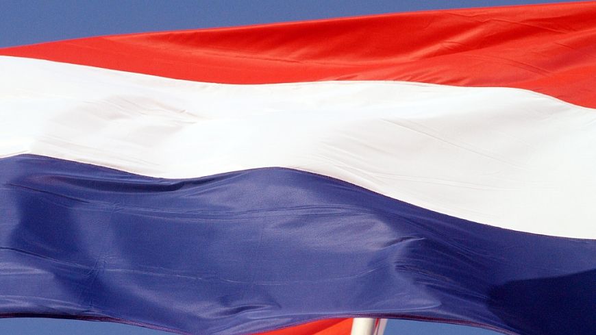 Congress to observe the Dutch municipal elections in March