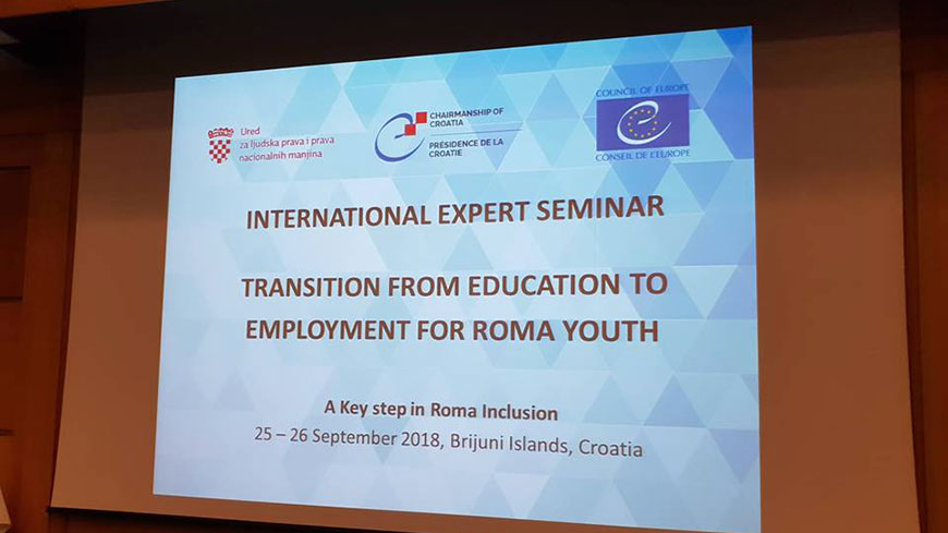 Inclusion of Roma youth through education, employment and political participation