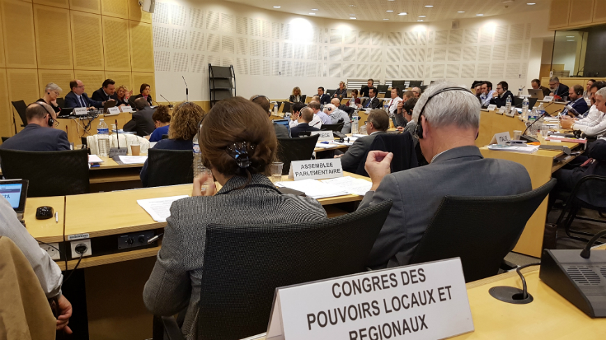 Congress Secretary General addresses the CDDG plenary session